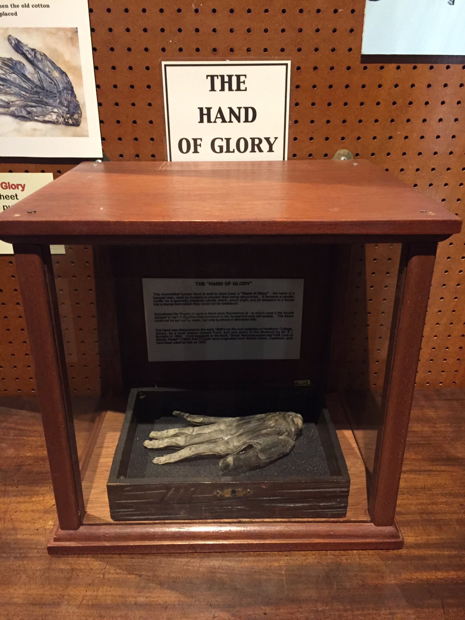 Whitby Museum's Hand of Glory