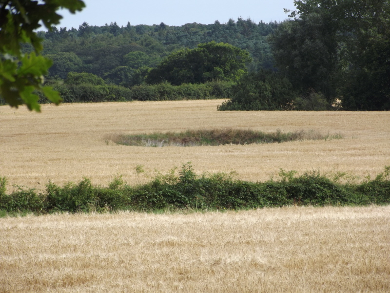 Aylmerton_Shrieking_Pits