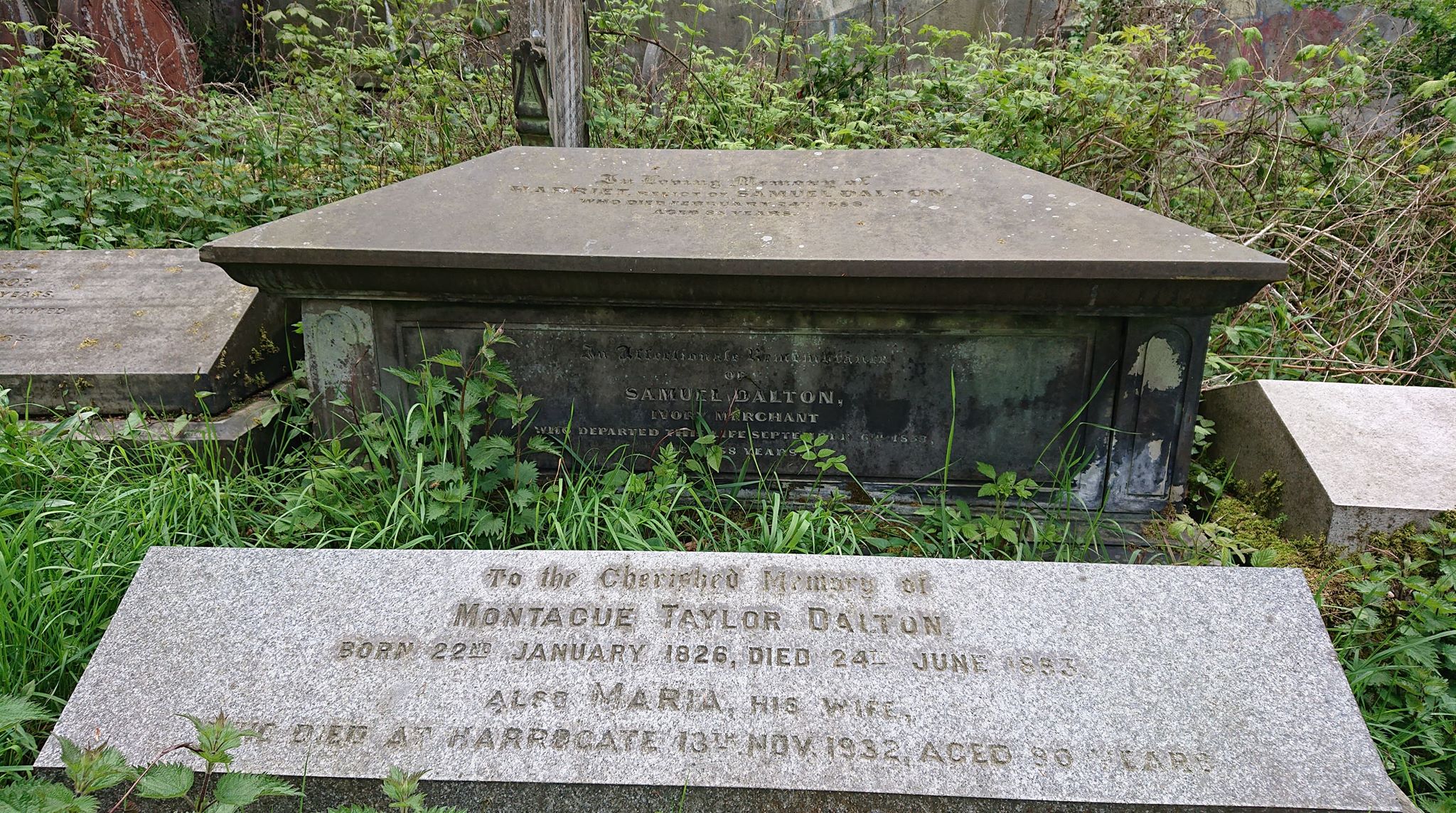 60130454_324793508187885_7239445459360546816_n