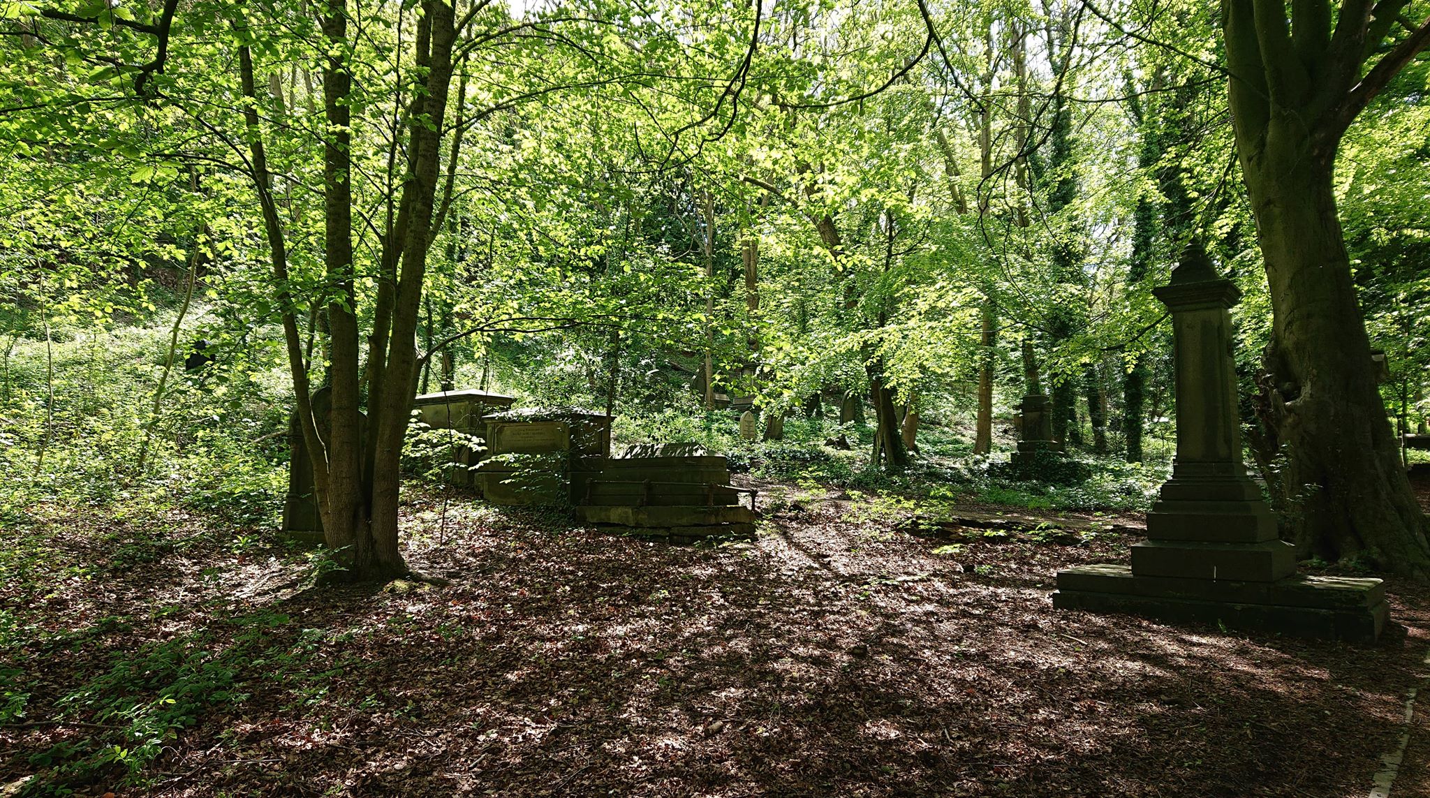 60478921_418785748954368_5401859477181825024_n