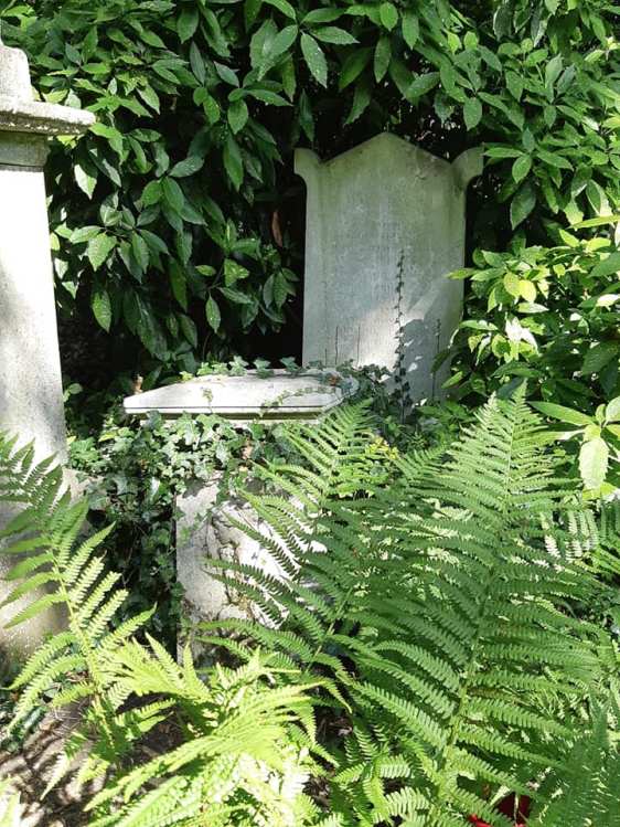 72950406_10156843986502371_673625166080638976_n