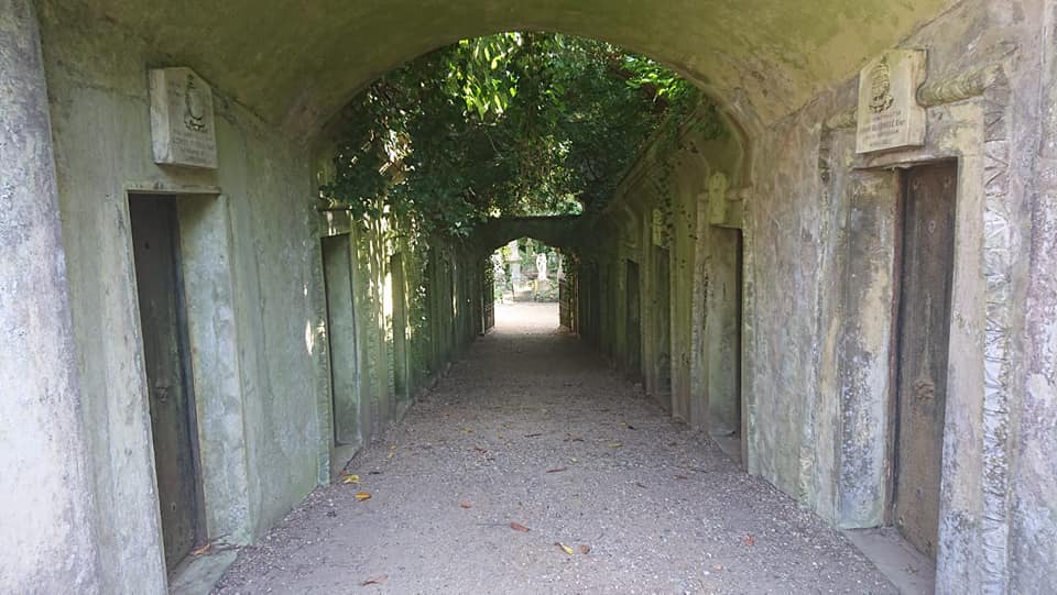 74393473_10156844062897371_7282931212958564352_n