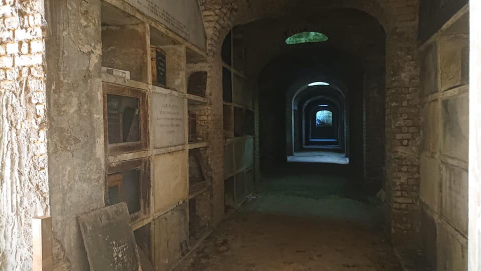 76191766_10156844072042371_264256165058183168_n