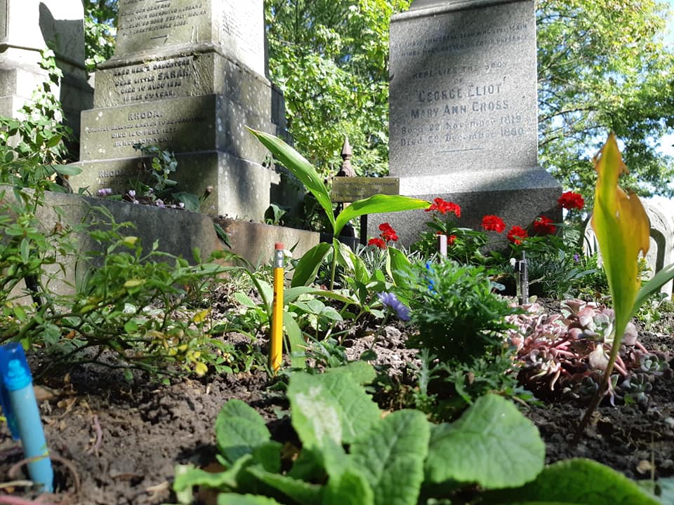 70582418_10156749172582371_8797316722815139840_n