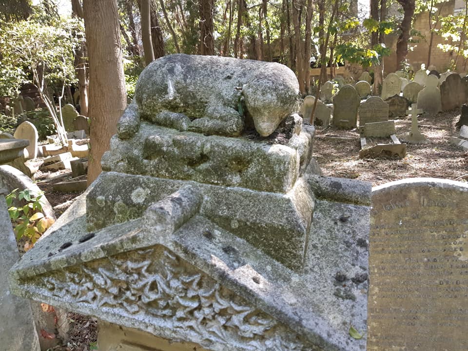 70957433_10156749172162371_2325657162228957184_n