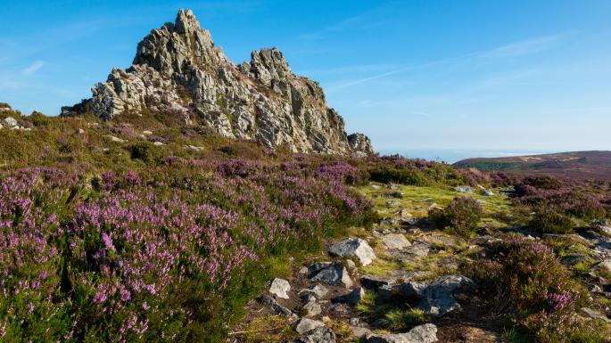 methode-times-prod-web-bin-1f9093e2-b689-11e8-849b-d1a6cd5e8545