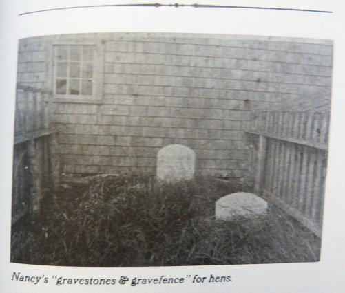 5168300418_2906a65915_b