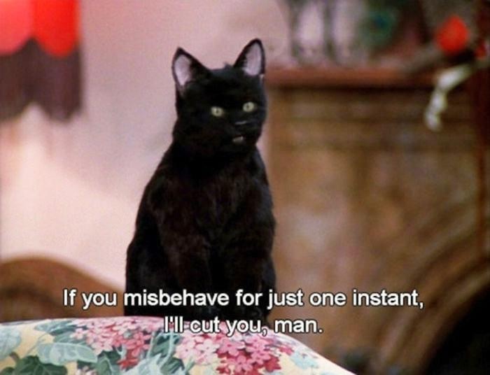 D.C. The Demon&nbsp;Cat