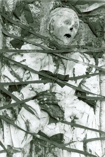 Anna Maria Von Stockhausen: The Undead Witch of Germany